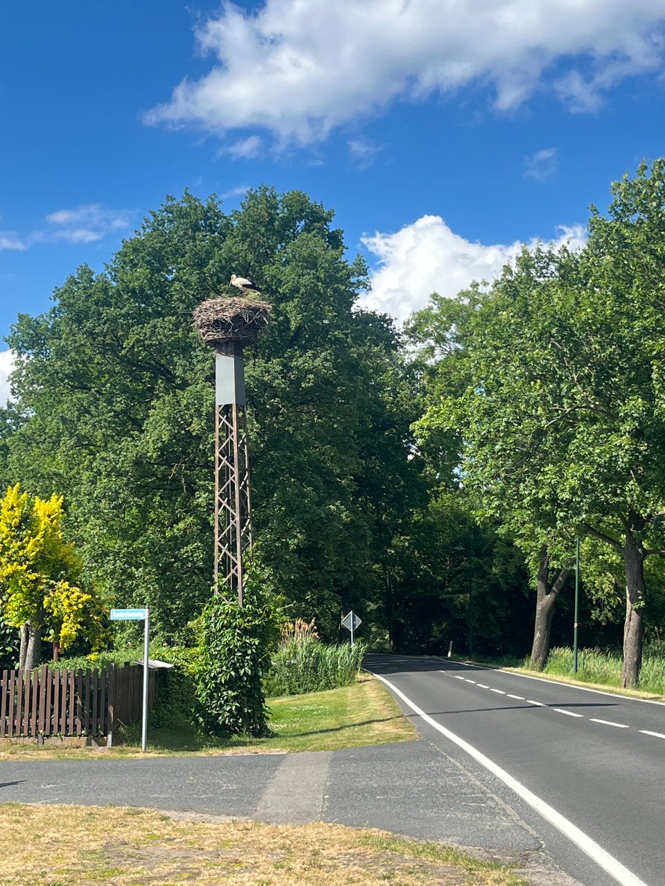 Stork in a large nest atop what looks like an old power pole.