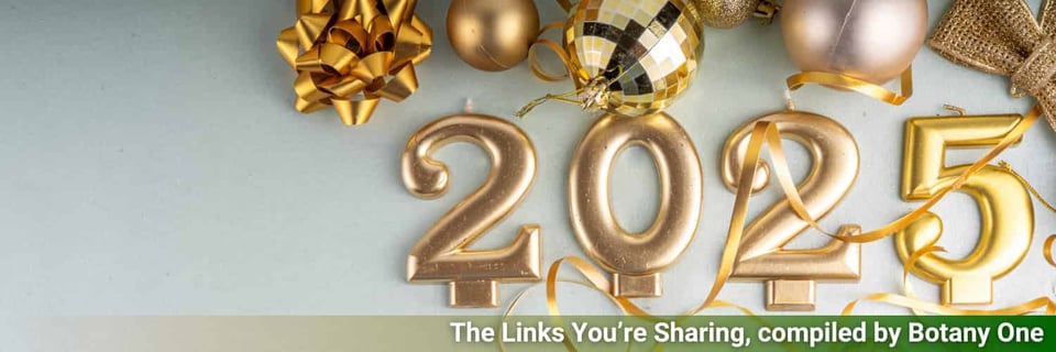 Decorations shining in gold, with the number 2025.