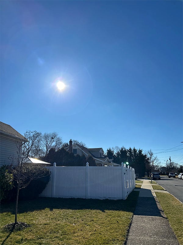 out for a sunny walk on my block