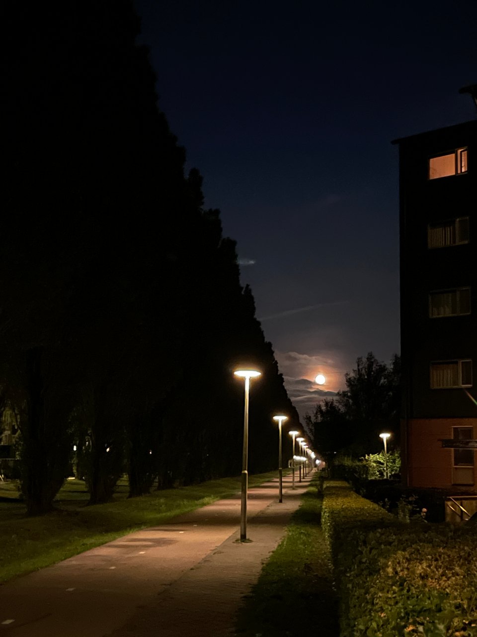 The full moon - tiny in the distance - at the end of the row of dark trees and lit street lamps graces the sky with its orange light.