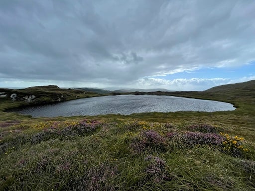 Copy of IMG_4580 Cropped - robinlewando@hotmail.com.jpg