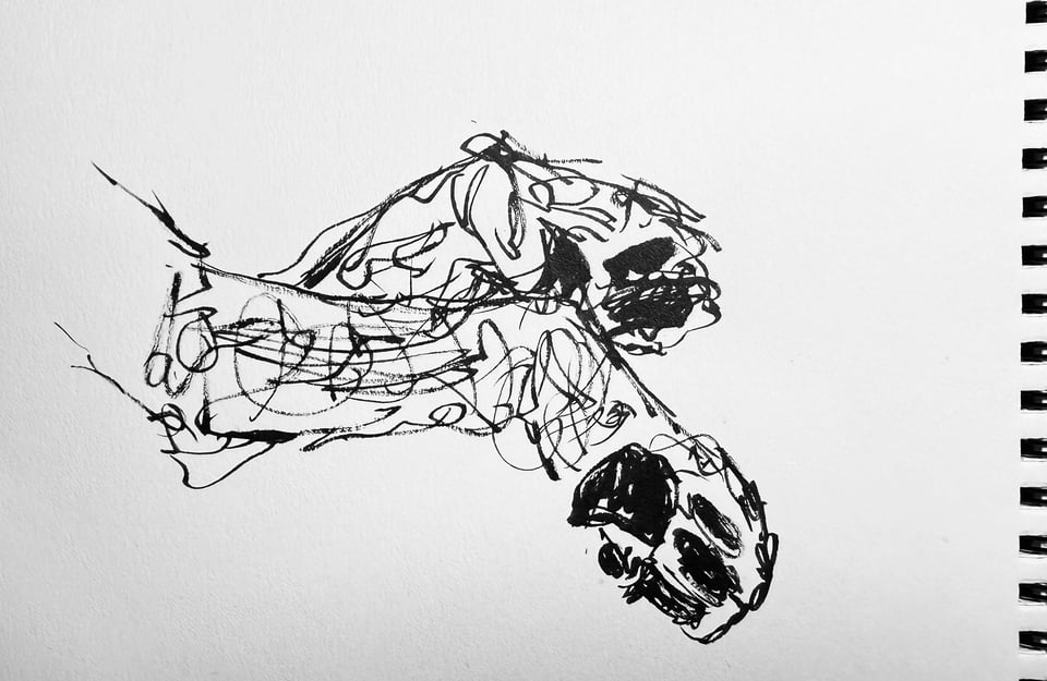 brush-pen sketch of a dog's paws