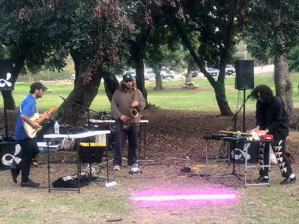 Pets playing live inside Elysian Park