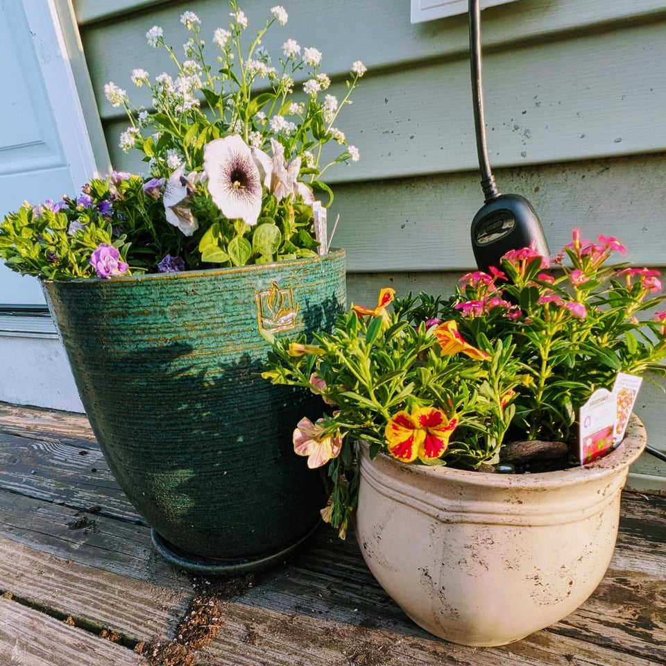 Two full flower pots in the afternoon sun. One pot has purple, white, and black & white flowers. the other has pink and yellow flowers.
