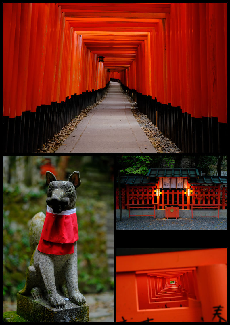 Fushimi Inari Montage