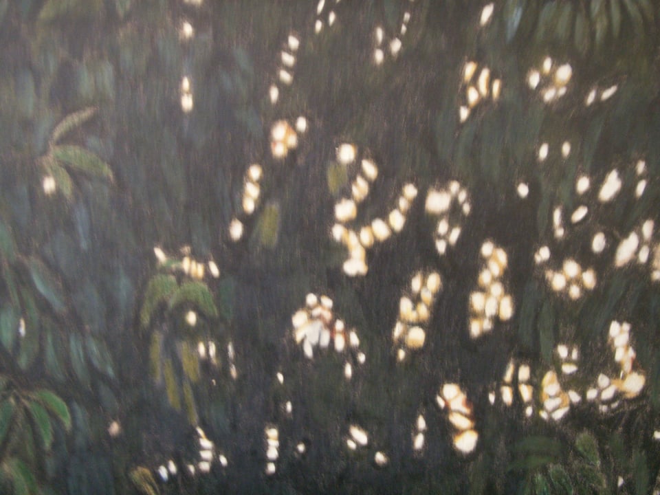 Work by Robin Milliken, the curator of "Respond to Tree" at Oakland's Confloptus.