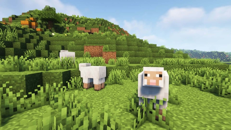 A Minecraft vista of rolling green hills with a few blocky white sheep munching on grass.