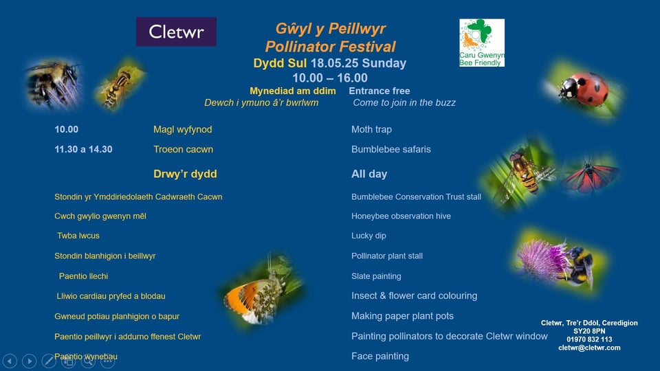 Poster for Gwyl y Peillwyr / Pollinator Festival on Sunday 18 May 10am-4pm at Cletwr SY20 8PN