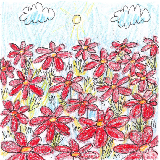 A drawing of red flowers, blue sky and sunshine by Julia Racsko, using a black pen and color pencils.