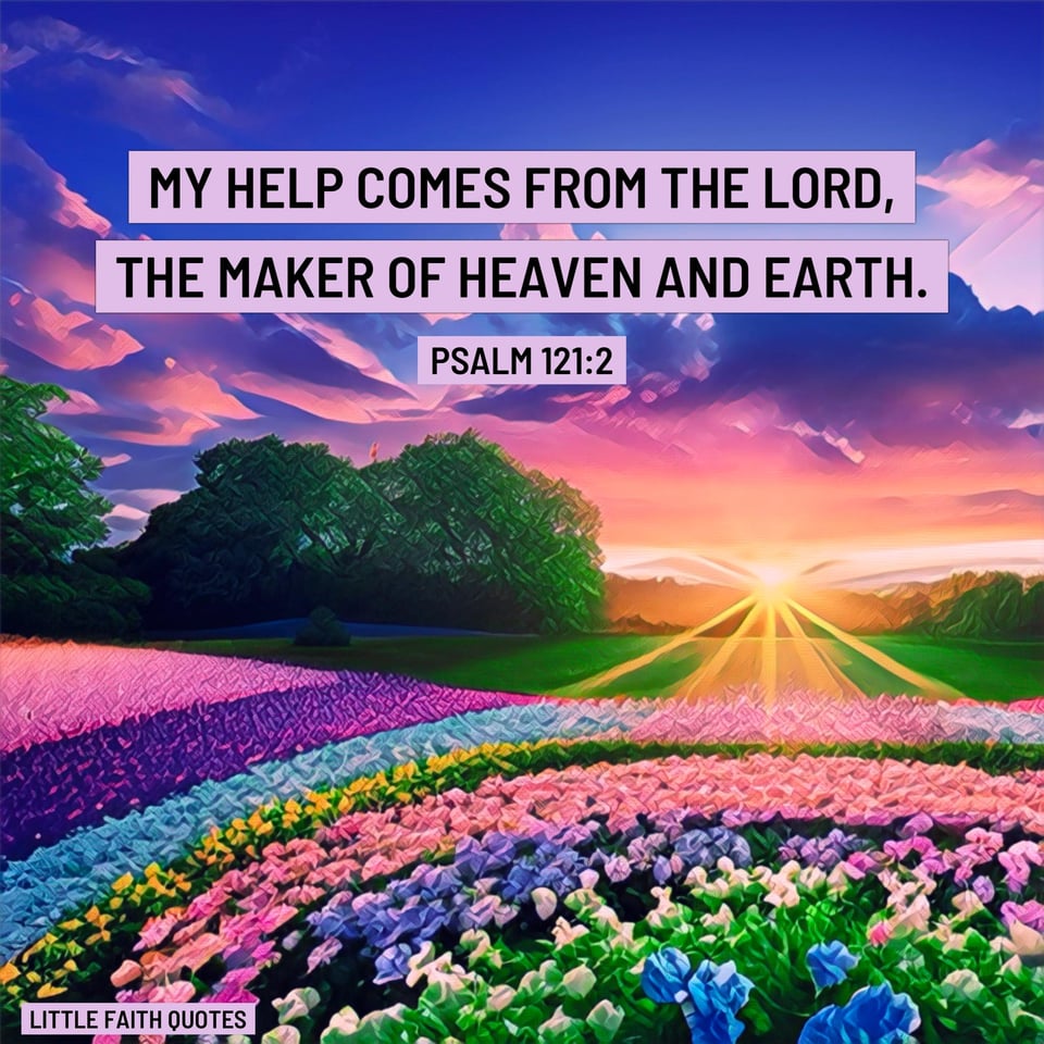 "My help comes from The LORD, the Maker of heaven and earth." ~Psalm 121:2. The sun sets in a beautiful blue and pink sky. A meadow of pink, blue, purple, and white flowers rise in the foreground. Image by: @Little Faith Quotes.