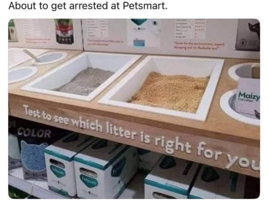 A photo of two trays filled with different types of cat litter at a petsmart store. Beneath the trays it says "Test to see which litter is right for you". Added caption reads: "About to get arrested at Petsmart."