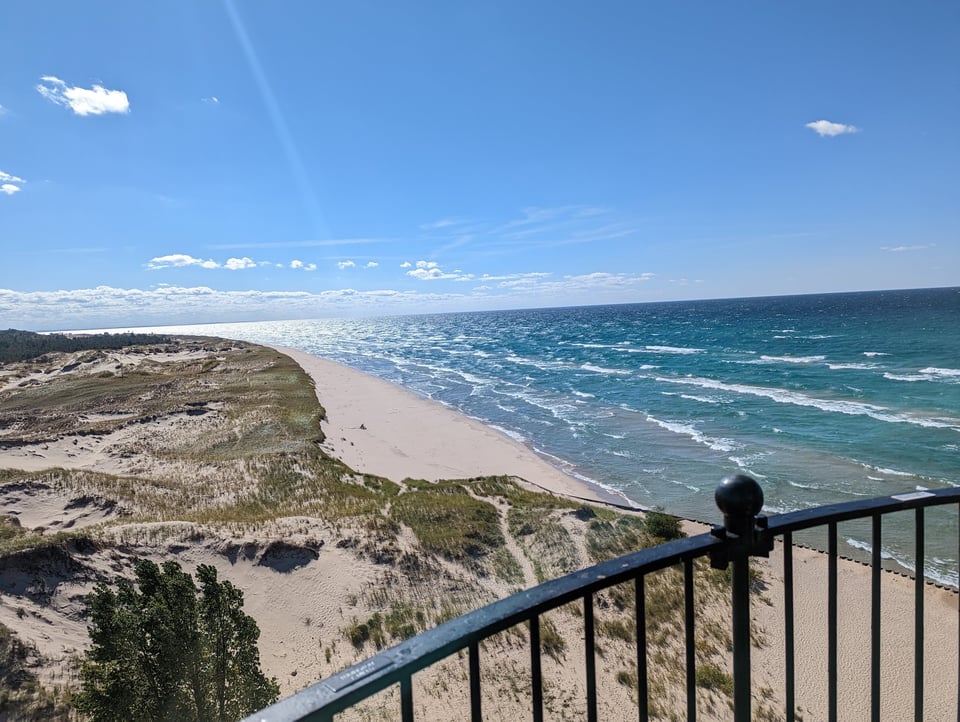 Sandy beach, with trees and scrub at the edges, and bright blue waves and sky viewed from behind a metal railing