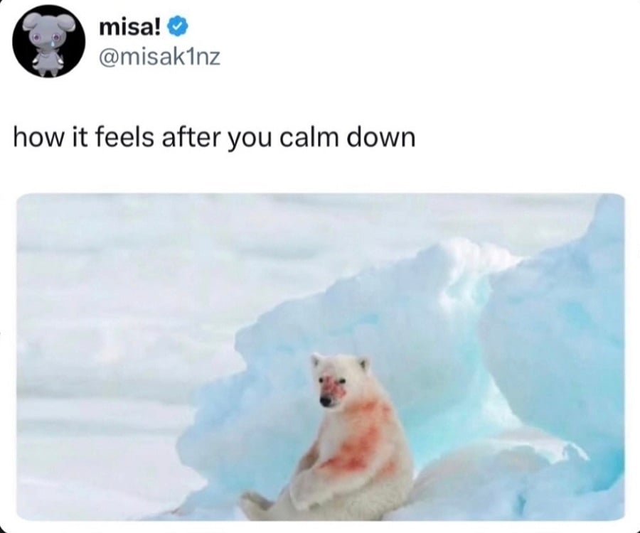 Twitter screenshot. @misak1nz:
how it feels after you calm down.
Below is a photo of a polar bear, with blood on its fur, sitting down on some ice and snow.