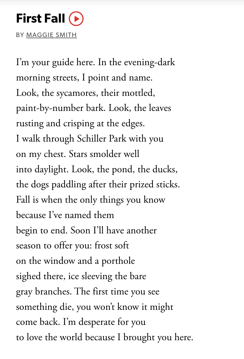 the text of the poem First Fall, by Maggie Smith