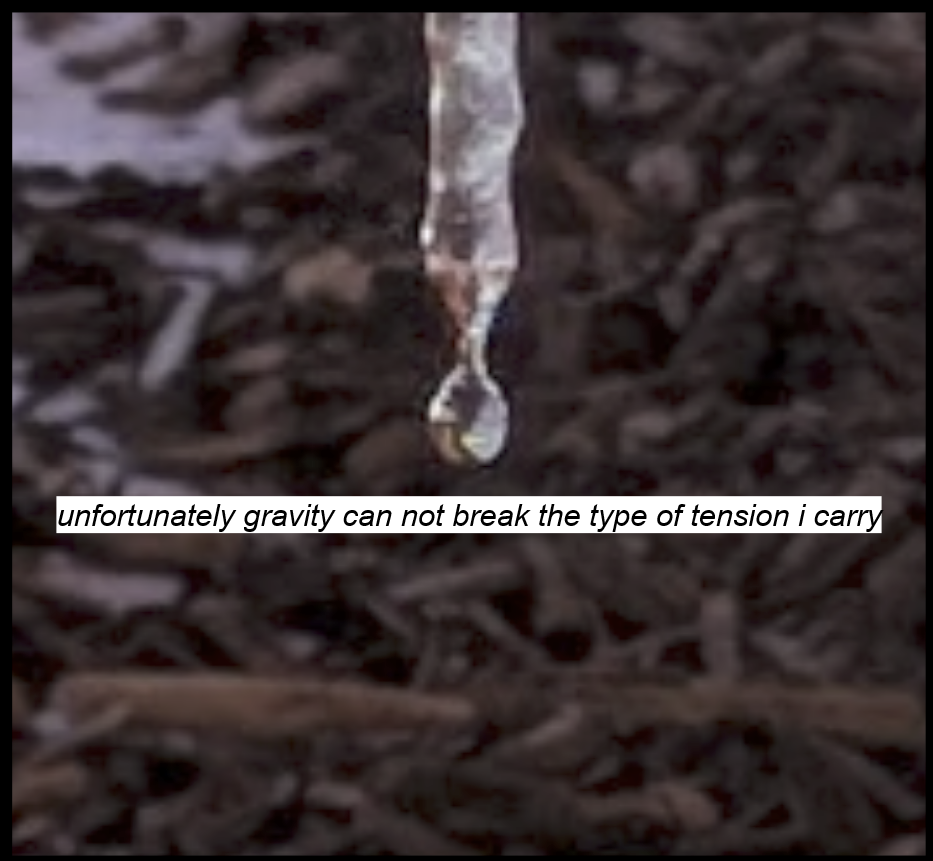 A single water drop off a melting icicle over some bark. The text reads: "unfortunately gravity can not break the type of tension i carry"