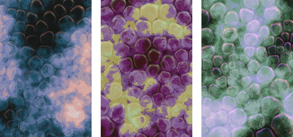 Vitreous #66, #75, #94