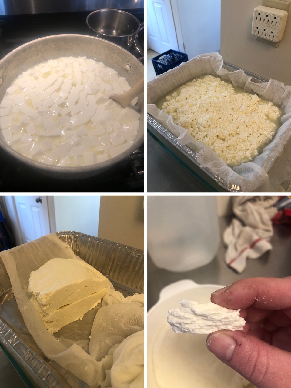 four images in sequence showing cheesemaking: the soft, just-cubed curd in a large vat; the cooked curd draining in a pan; two chunks of pressed curd in the same pan; the torn-up curd held between two pink fingers