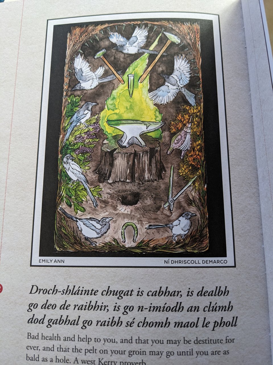 An illustration from Women's Words. It's a long Irish curse that means, "Bad health and help to you, and that you may be destitute forever, and that the pelt on your groin may go until you are as bald as a hole." A West Kerry proverb. The illustration is large birds flying around a hammer and anvil.