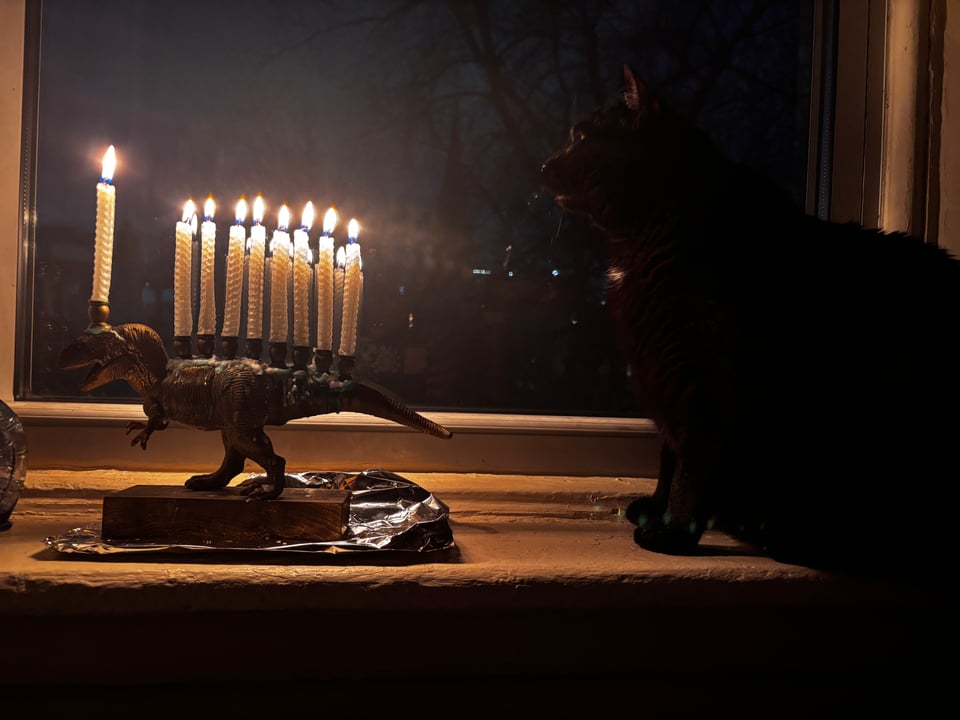 black cat next to candles on back of dinosaur menorah on window sill during Hanukkah 