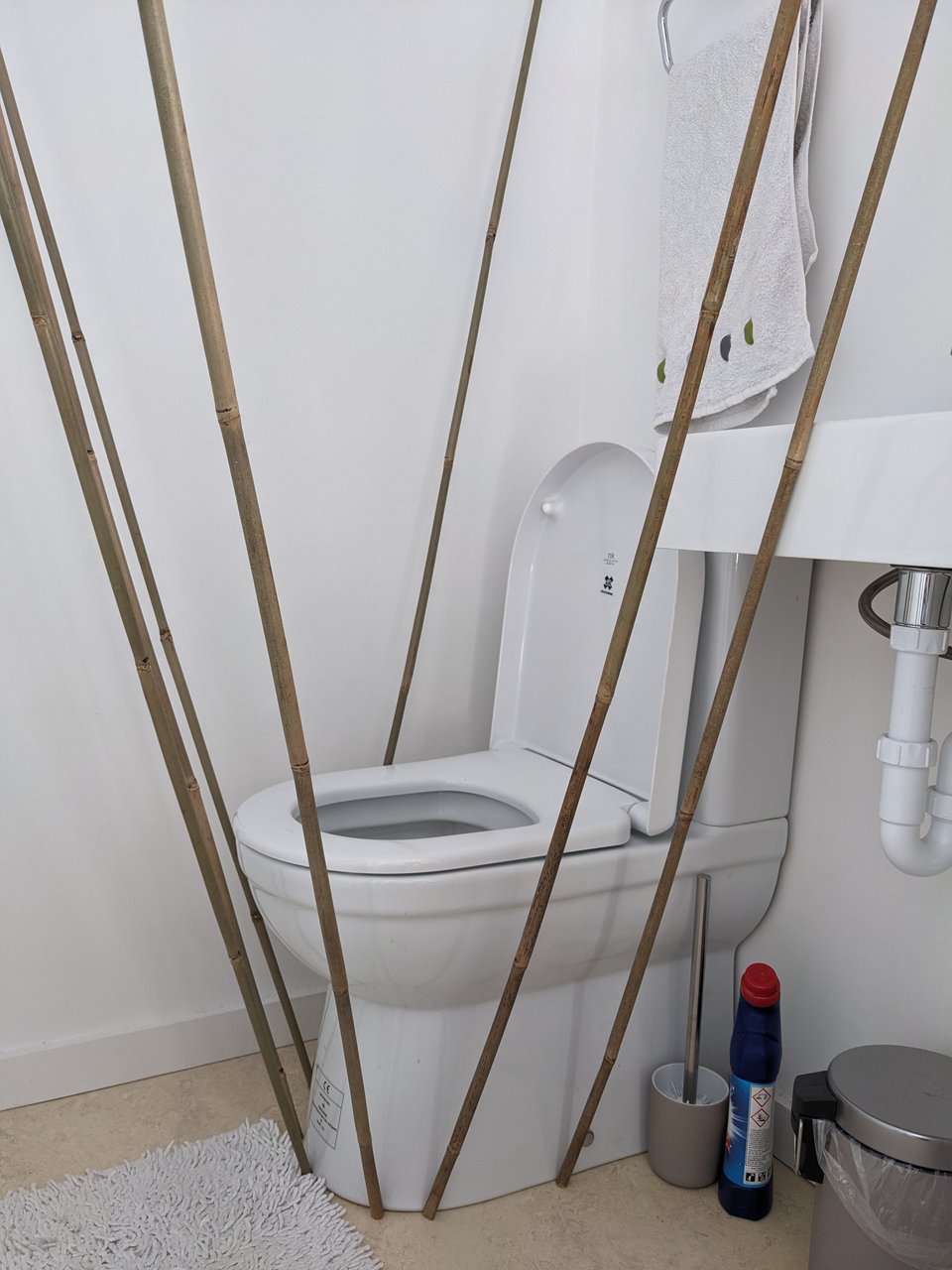 Bamboo sticks in the way in the bathroom
