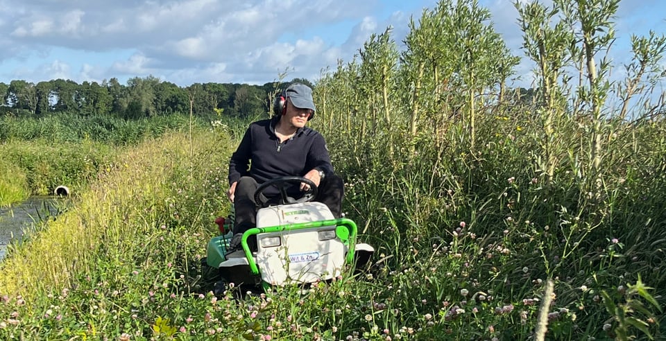 Gras maaien