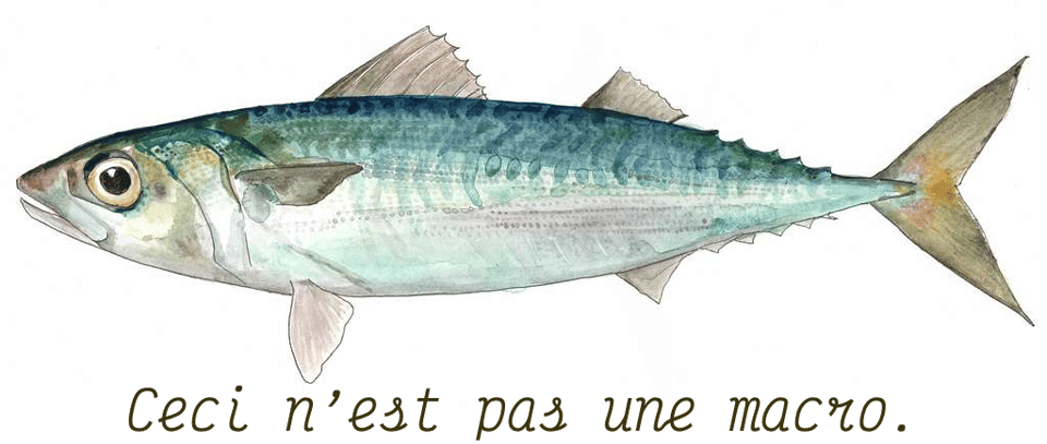 Macro sounds like the French for mackerel... Ceci n'est pas une macro
