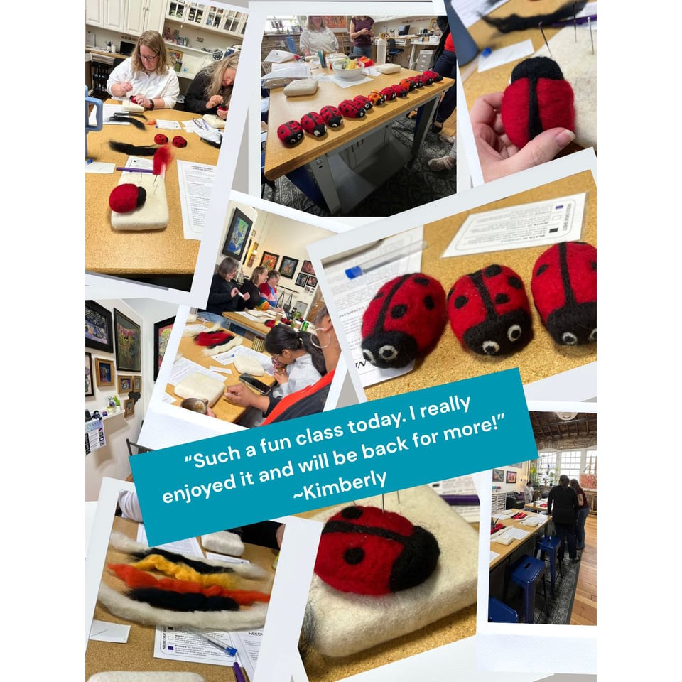 Class attendee review for Needle-Felt a Ladybug class