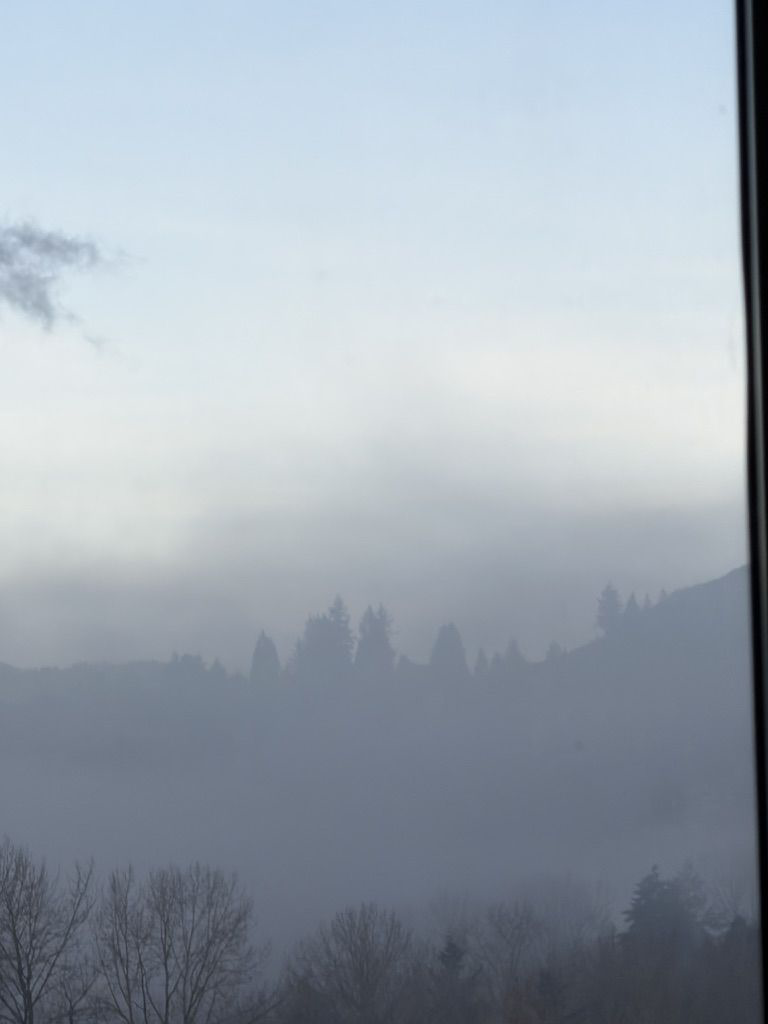 2025 Year in Review!