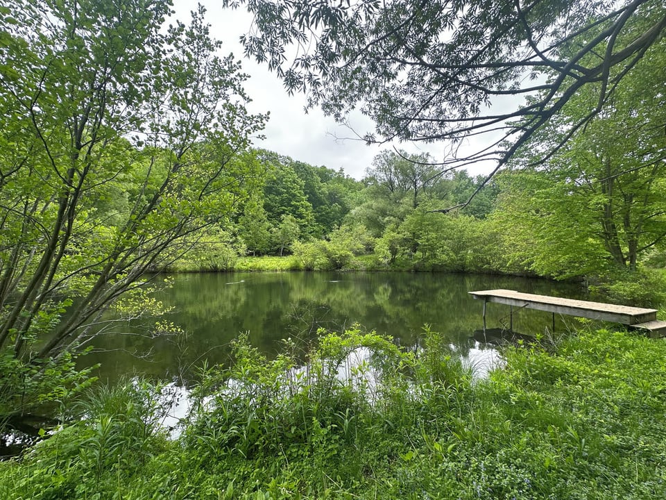 the beautiful farm pond at will o' wisp farm in craryville, ny