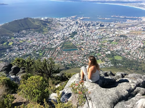 Top Coastal Destinations to Visit in South Africa on Cape Town Tours
