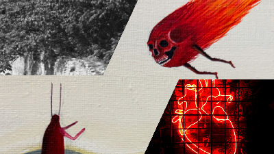 A collage of images related to the stories in this month's newsletter