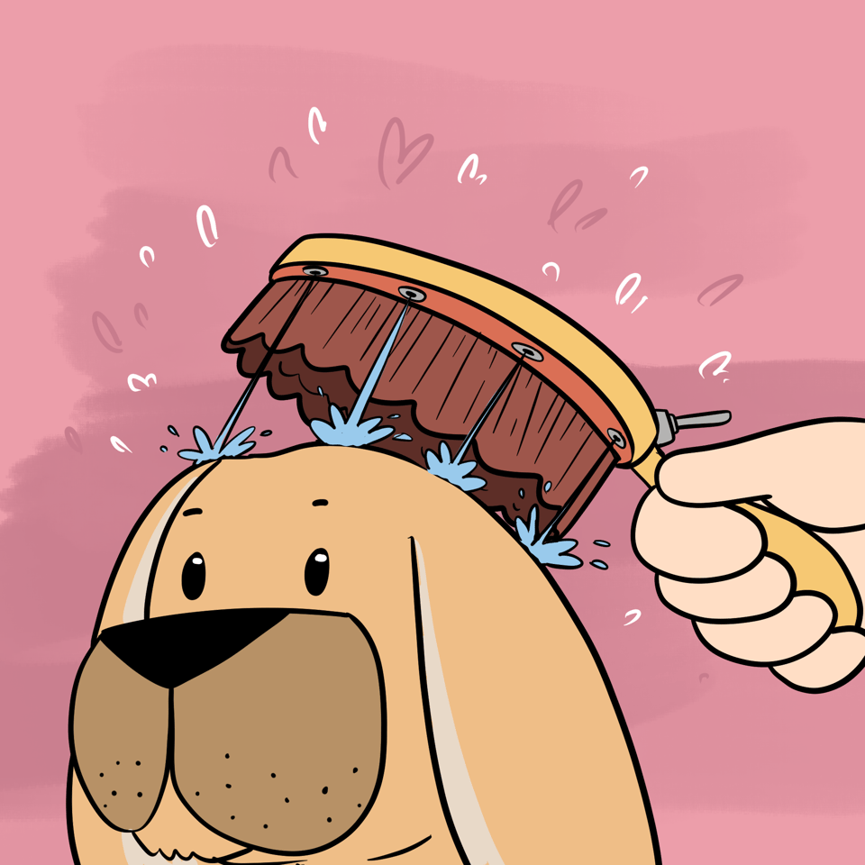 A dog is being brushed by a brush which has water flowing out of it.