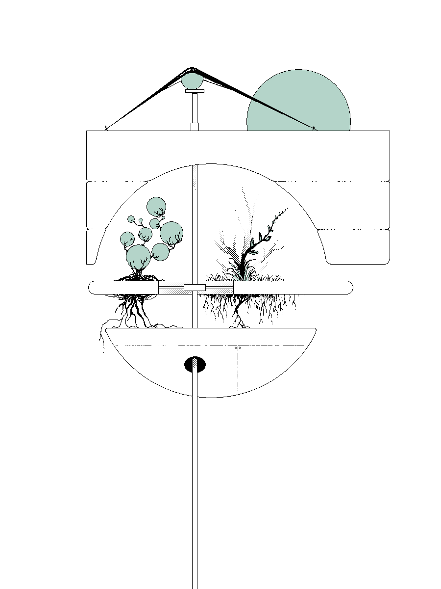 Plants on an elevated platform