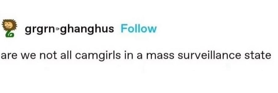 Tumblr screenshot from grgrn-ghanghus: are we not all camgirls in a mass surveillance state