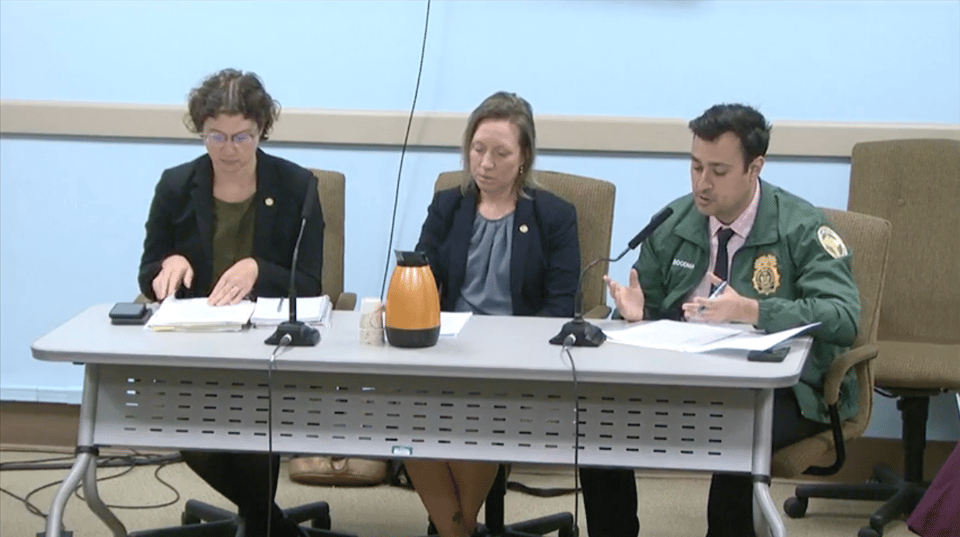 Joshua Goodman from DSNY gives testimony