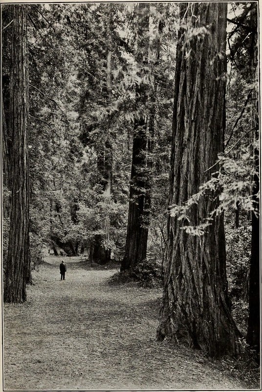 2025 Events Are Here ~ ExGld