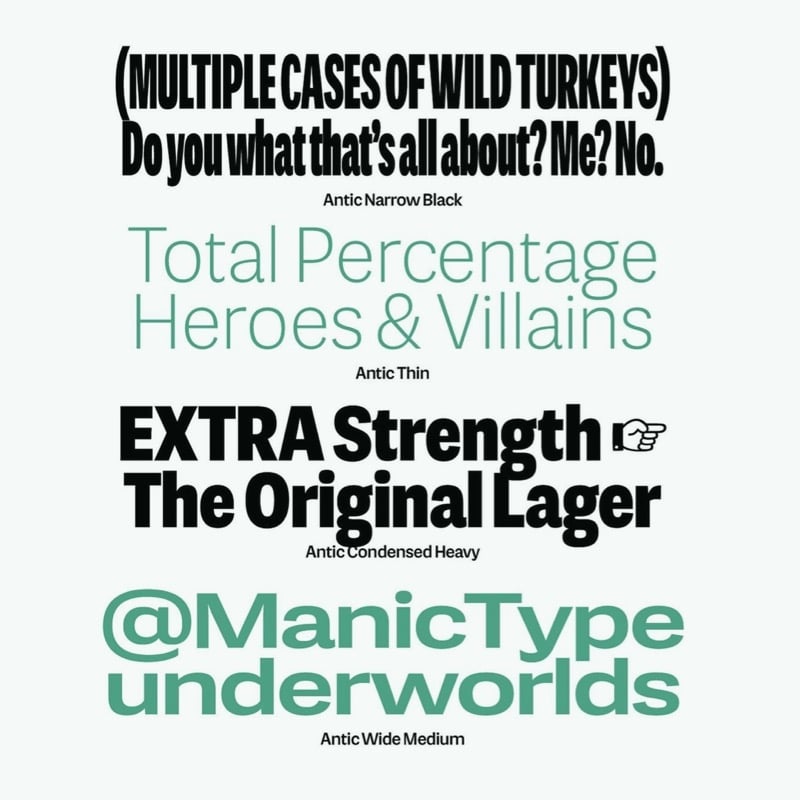 Antic, by Manic Type Jamie Chang. Made with Font Proofer.