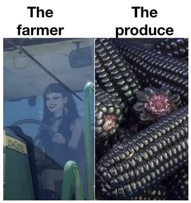 Two images side by side. The first is of a goth girl grinning as she drives a big John Deere tractor. It's labelled "The farmer". The second image is of black corn cobs. It's labelled "The produce".