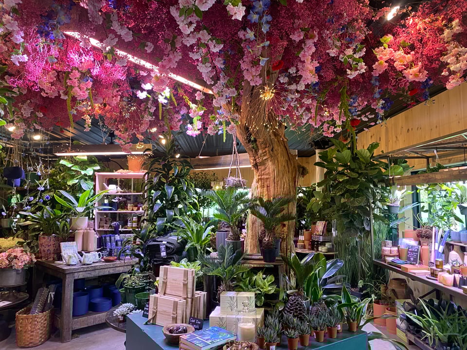 disgust and gratitude