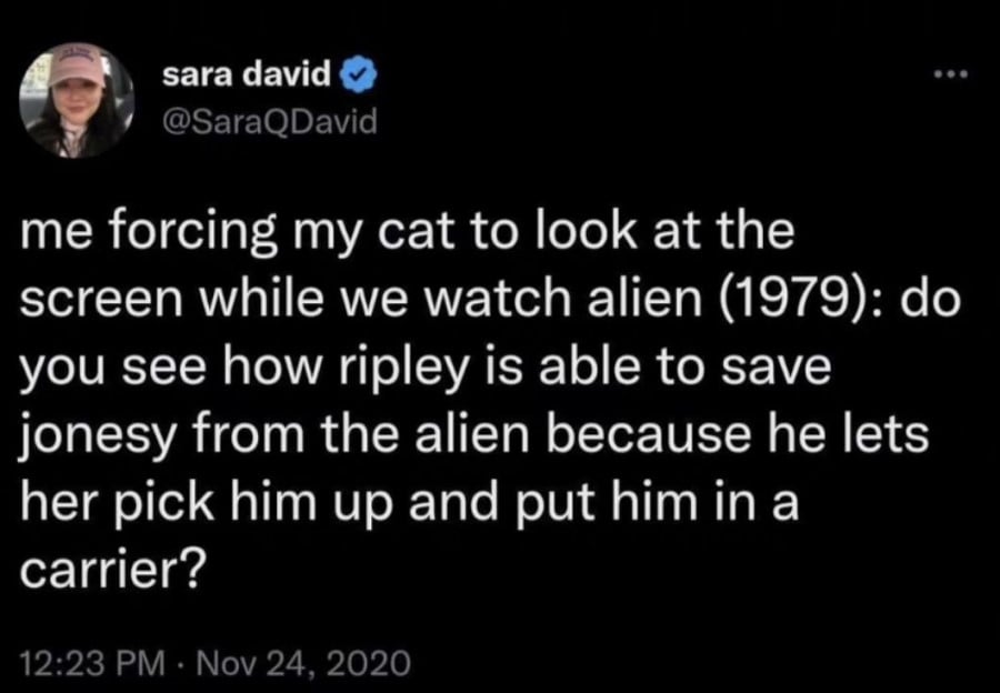 @SaraQDavid: me forcing my cat to look at the screen while we watch alien (1979): do you see how ripley is able to save jonesy from the alien because he lets her pick him up and put him in a carrier?
