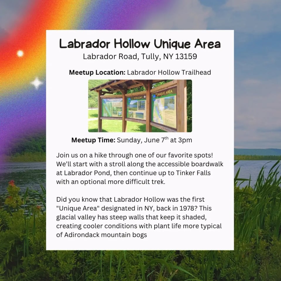 Hike Location: Labrador Hollow Unique Area.
Location Address: Labrador Road, Tully, NY 13159.
Meetup Location: Labrador Hollow Trailhead.
Meetup Time: Sunday, June 7th at 3pm.
Join us on a hike through one of our favorite spots! We'll start with a stroll along the accessible boardwalk at Labrador Pond, then continue up to Tinker Falls with an optional more difficult trek.
Did you know that Labrador Hollow was the first "Unique Area" designated in NY, back in 1978? This glacial valley has steep walls that keep it shaded, creating cooler conditions with plant life more typical of Adirondack mountain bogs.