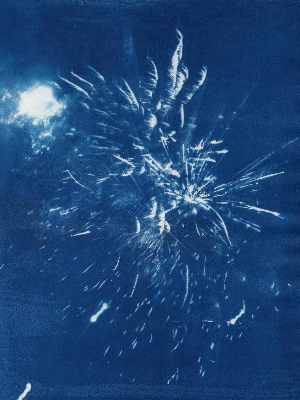Cyanotype on vellum of Oakland street fireworks