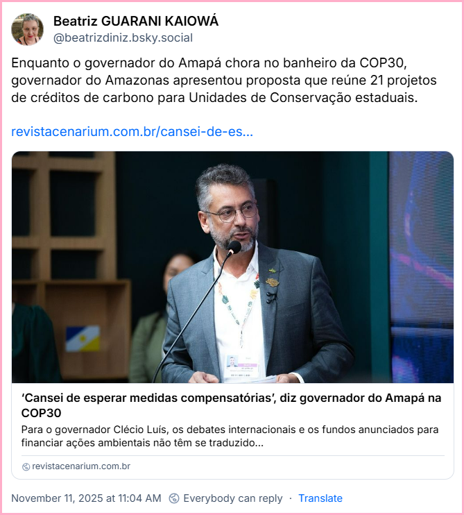 Post de Beatriz GUARANI KAIOWÁ (@beatrizdiniz.bsky.social) com o texto: Enquanto o governador do Amapá chora no banheiro da COP30, governador do Amazonas apresentou proposta que reúne 21 projetos de créditos de carbono para Unidades de Conservação estaduais. O post tem um link que está no final deste texto.
