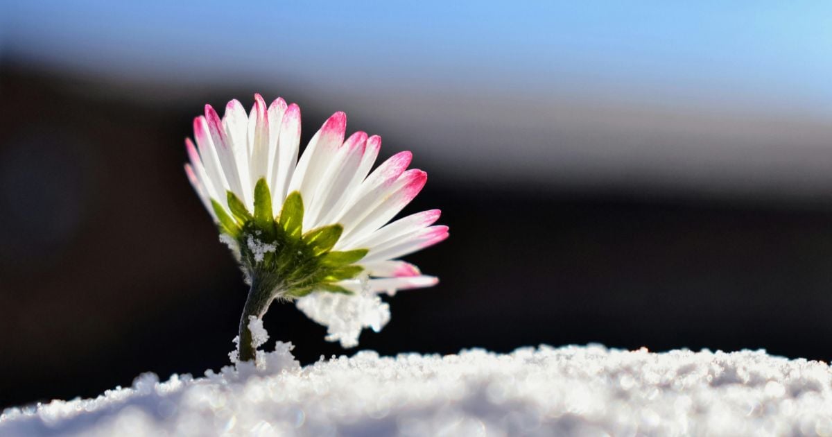 It's a Good Question, But It's the Wrong One