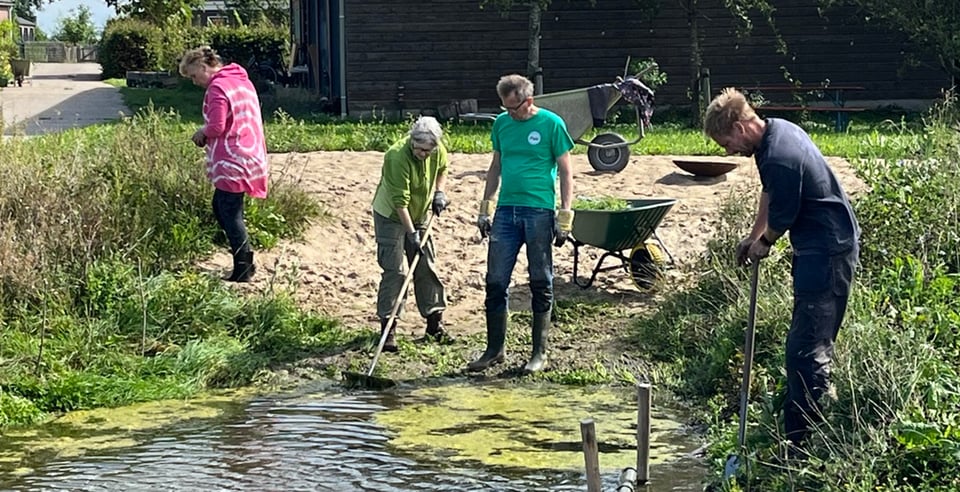 Meewerkdag