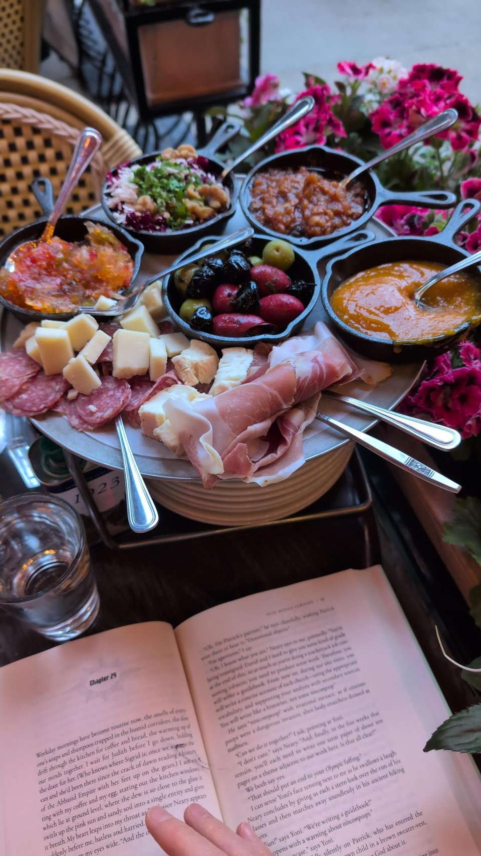 A photograph of a massive antipasti plate as well as the book I'm reading. I managed to eat almost all of this all by myself. My favorite might have been the eggplant, but the apricot sauce/dip was a close second.