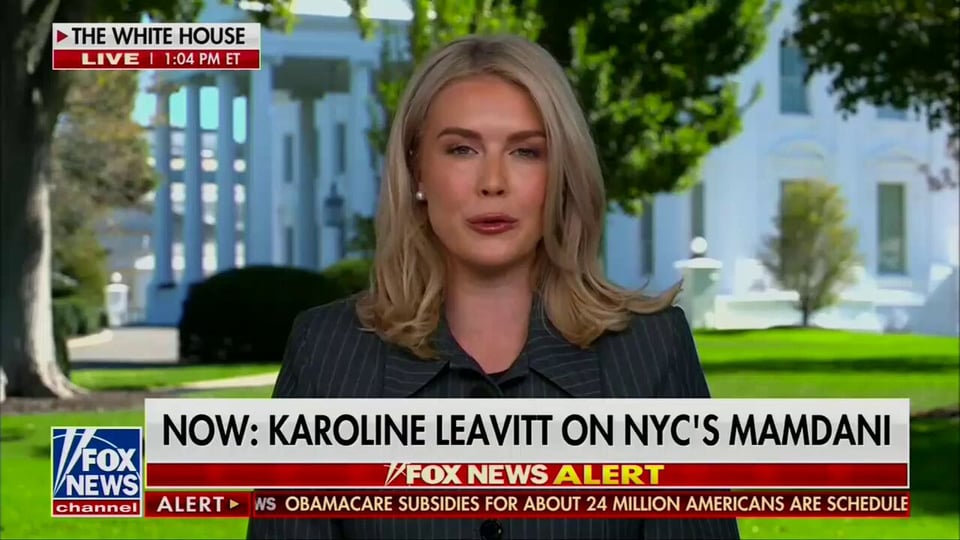 White House Press Secretary Karoline Leavitt in a screenshot of her appearance on Fox News.
