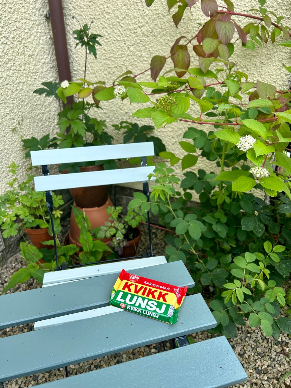 Pine Marten Post #15