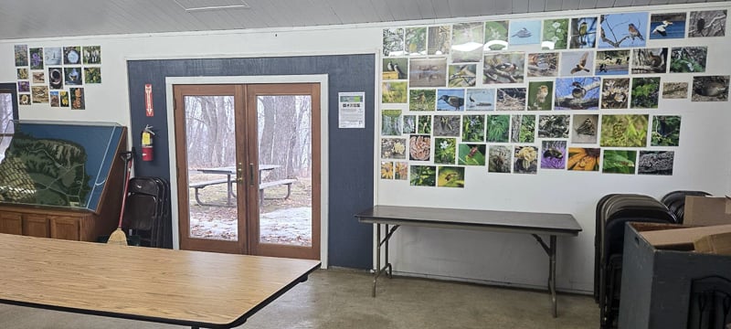 Once again, the Frontenac State Park Association is presenting images by park visitors of flora and fauna that were posted to iNaturalist in 2025 in the park’s main picnic shelter. We encourage you to share your own observations on iNaturalist in 2026. Click here for a “slideshow” of some of the best images from 2025.