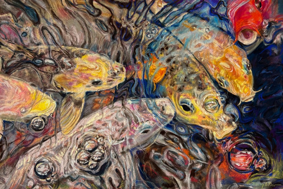 soft pastel art, koi reflections